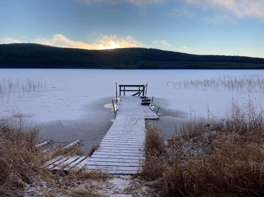 Lakeside Wilderness Cabin โยคโมค ภายนอก รูปภาพ