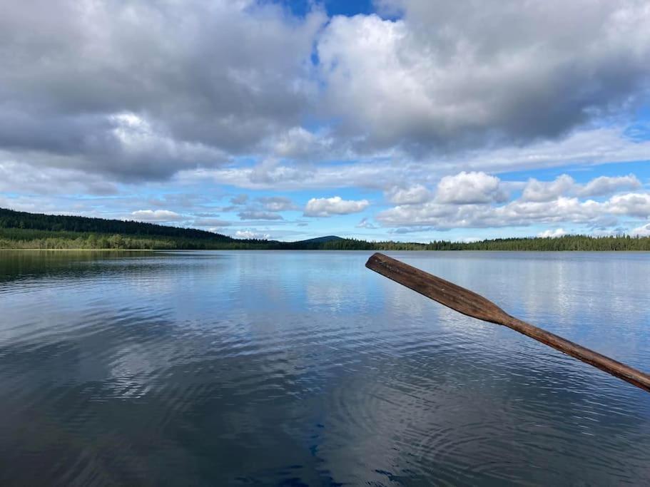 Lakeside Wilderness Cabin โยคโมค ภายนอก รูปภาพ