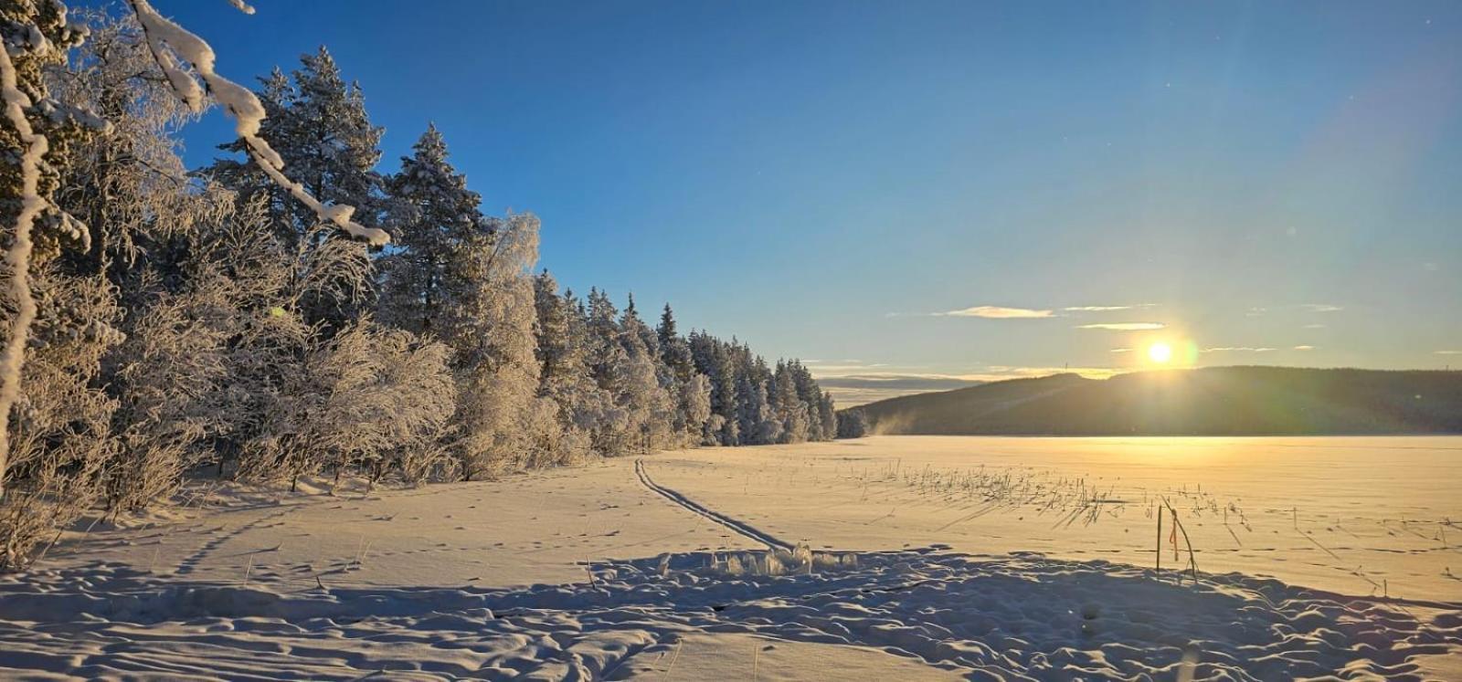 Lakeside Wilderness Cabin โยคโมค ภายนอก รูปภาพ