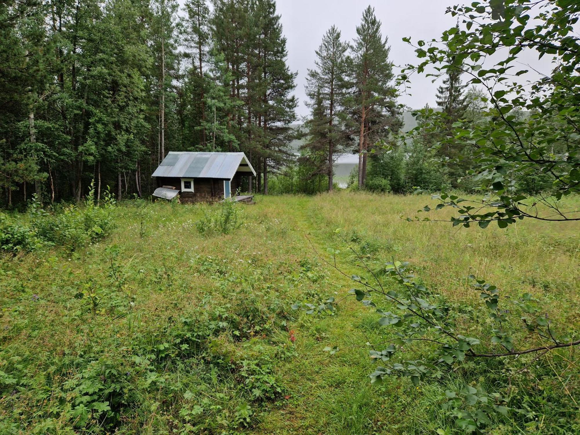 Lakeside Wilderness Cabin โยคโมค ภายนอก รูปภาพ