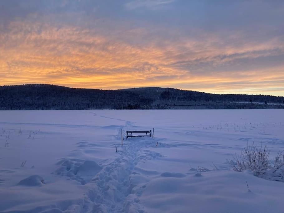 Lakeside Wilderness Cabin โยคโมค ภายนอก รูปภาพ