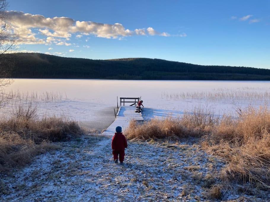 Lakeside Wilderness Cabin โยคโมค ภายนอก รูปภาพ