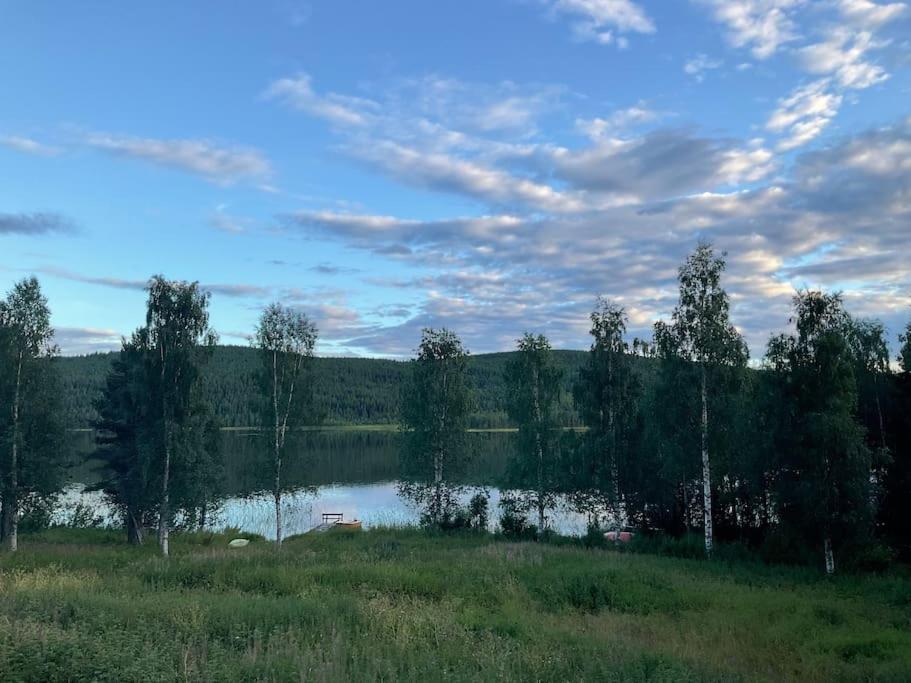 Lakeside Wilderness Cabin โยคโมค ภายนอก รูปภาพ
