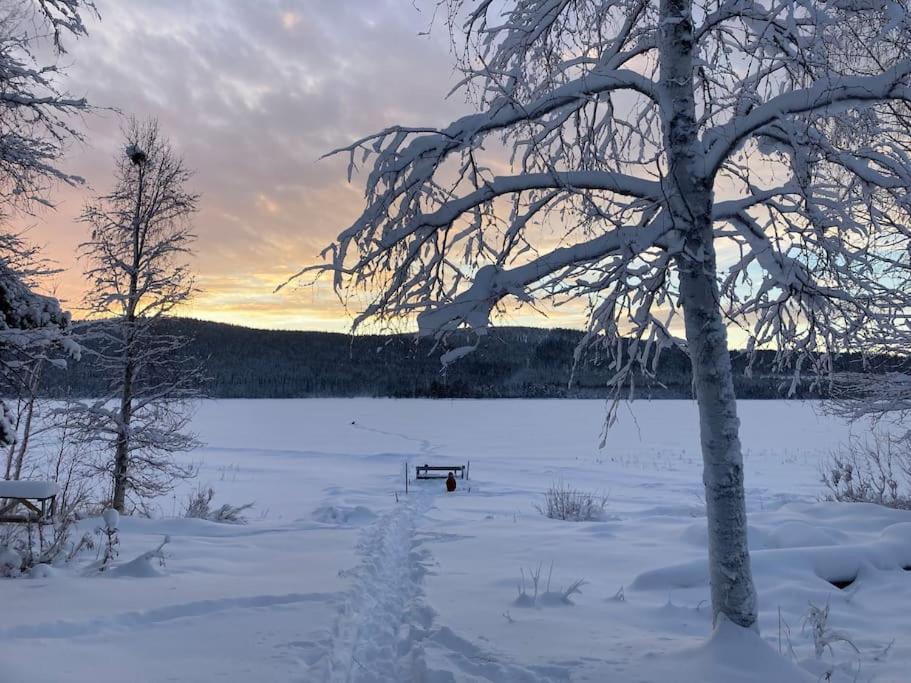 Lakeside Wilderness Cabin โยคโมค ภายนอก รูปภาพ