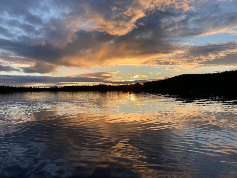 Lakeside Wilderness Cabin โยคโมค ภายนอก รูปภาพ