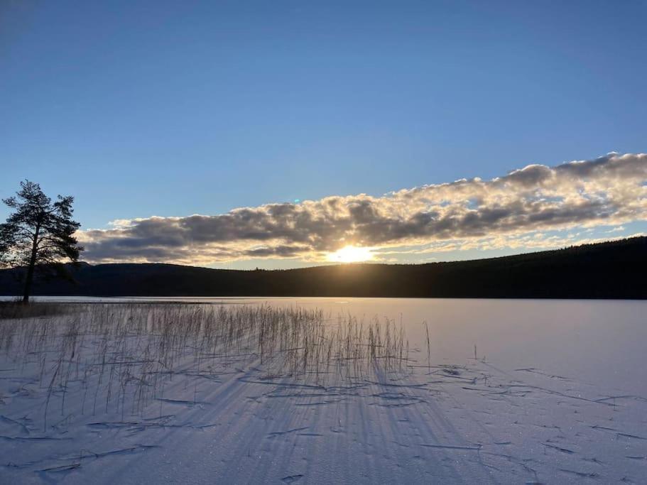 Lakeside Wilderness Cabin โยคโมค ภายนอก รูปภาพ