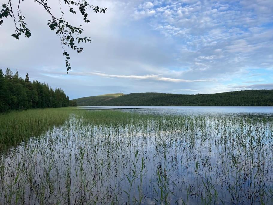 Lakeside Wilderness Cabin โยคโมค ภายนอก รูปภาพ