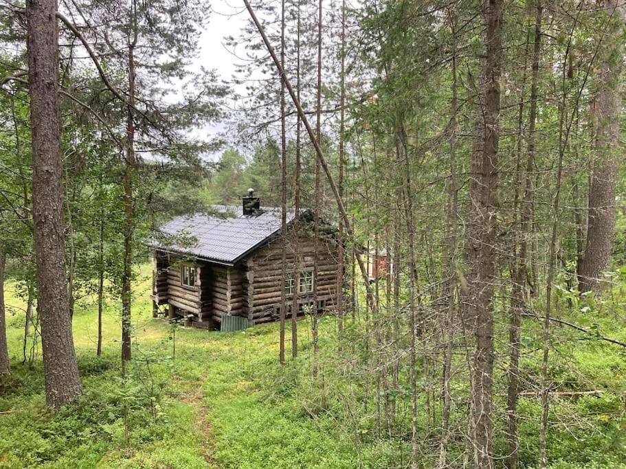 Lakeside Wilderness Cabin โยคโมค ภายนอก รูปภาพ