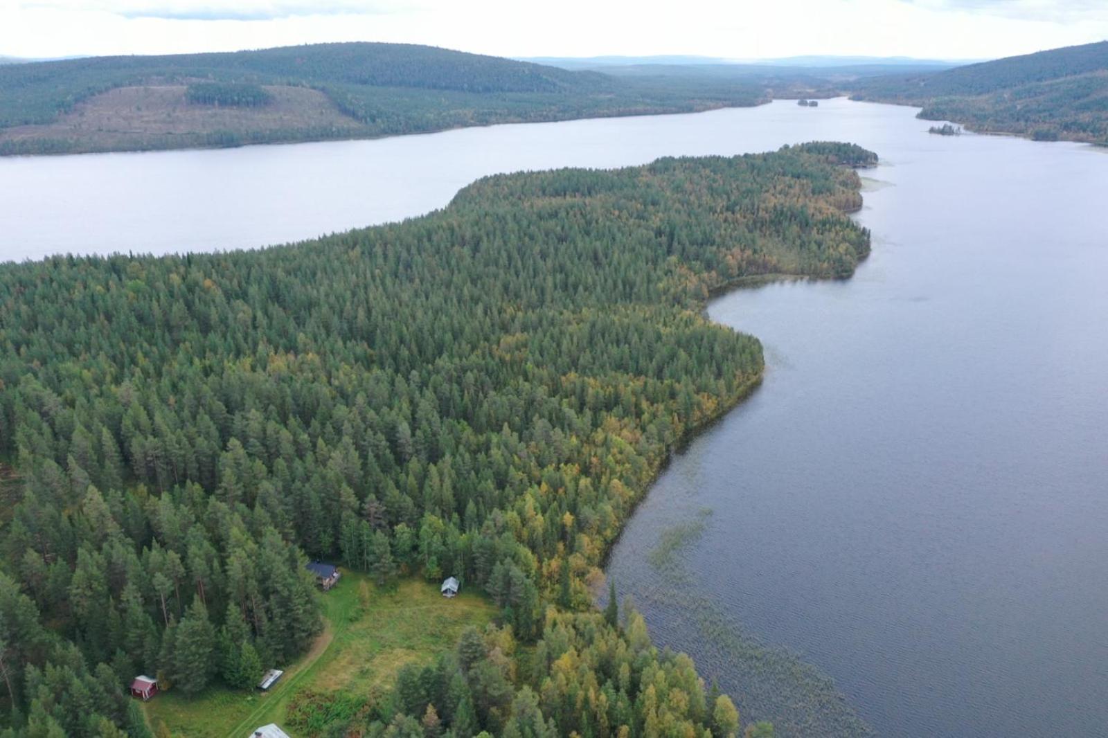 Lakeside Wilderness Cabin โยคโมค ภายนอก รูปภาพ